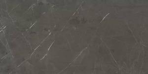 Керамогранит Atlas Concorde Marvel Diva AU8H Precious Brown Velvet 60x120