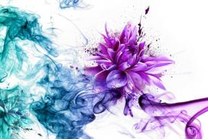 3D Фотообои Artegrafico «Красочная хризантема» CD-008 канвас