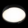 Потолочный светодиодный светильник Loft IT Coin 10200 Black фото 6