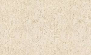 Обои Rasch Metal Spirit 977417