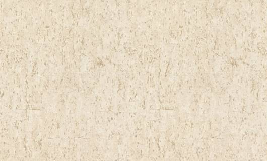 Обои Rasch Metal Spirit 977417