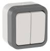 Выключатель 2-клавишный проходной IEK Tors TS-V22-0-10-55-K41 серо-белый
