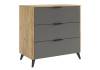 Комод Woodville Адам 576847 дуб крафт золотой, графит