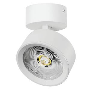 Накладной светодиодный спот Lightstar Alta Pro A5636SO