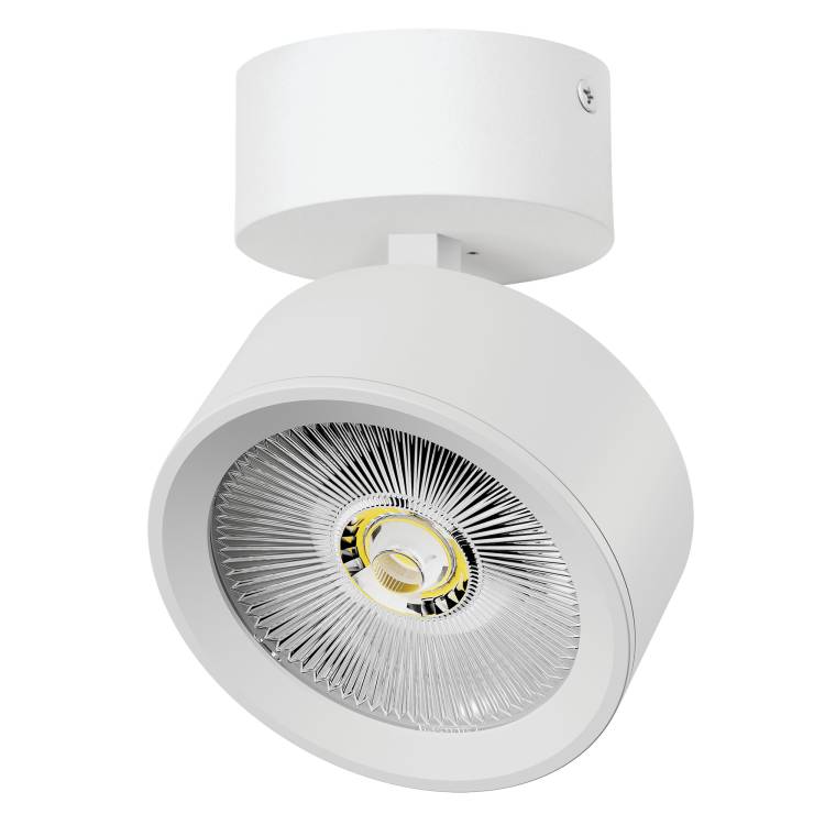 Накладной светодиодный спот Lightstar Alta Pro A5636SO
