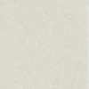 Керамогранит Atlas Concorde Russia Rinascente Resin 600010002400 White Matt Rett 120x120