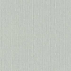 Обои виниловые Rasch Maximum XVI 960792