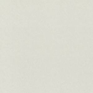 Обои Rasch Fresh Up 980325
