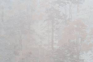 Обои Артекс Estetic 11218-02