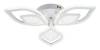 Потолочная люстра Escada Anise 10288/6LED фото 3