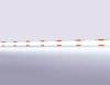 Светодиодная лента Ambrella light Illumination GS4653 фото 2