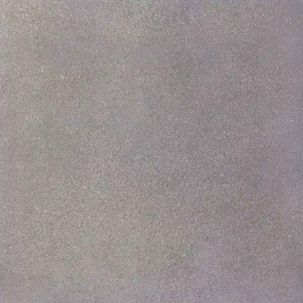 Керамогранит Sina Tile Daino 9111 Light Grey Sugar 90x90