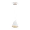 Подвесной светильник Freya Falke Market FR8001PL-01WG