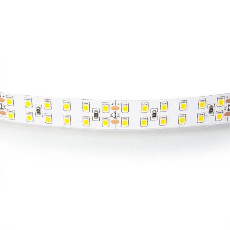 Светодиодная лента Lightstar 421503