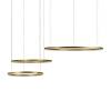Подвесной светодиодный светильник Loft IT Ring 10017/3M фото 4