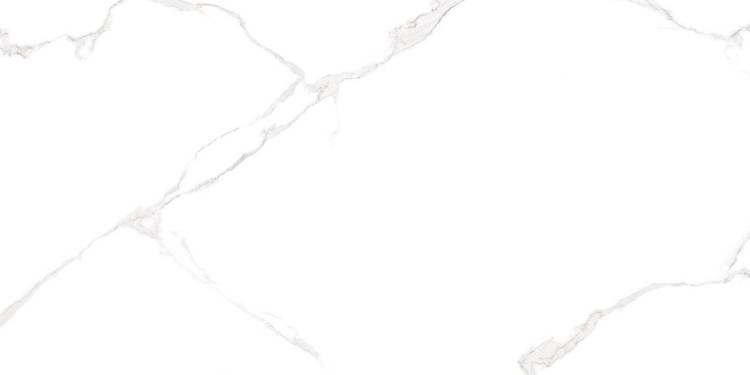 Керамическая плитка AltaCera WT9ELT00 Bianco Carrara 25x50