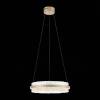 Подвесной светодиодный светильник ST Luce Cherio SL383.203.01 фото 2