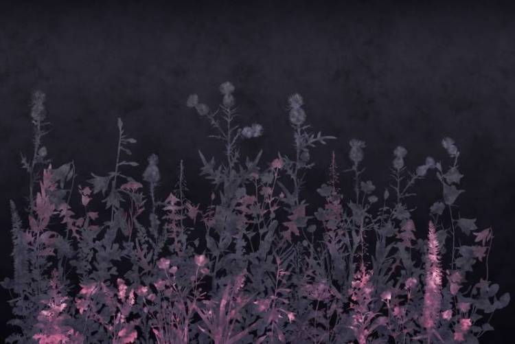 3D Фотообои Artegrafico «Полевые травы в холодных тонах» HRB-013 песок