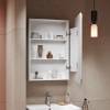 Зеркало-шкаф Alavann Cosmetic 60 ALV0770001 белый фото 2