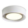 Потолочный светильник Freya Cozy FR6170CL-L52BS