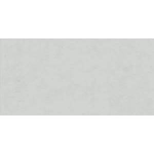 Керамогранит Ariana Floralia 9646 Neige 60x120