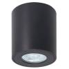 Потолочный светильник Arte Lamp Tino A1469PL-1BK