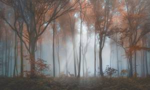 Фреска La Stanza Alba 800172 ардженто (размер на заказ)