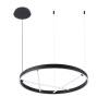 Подвесной светильник Arte Lamp Ricco A1874SP-32BK