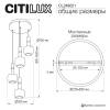 Подвесной светильник Citilux Lass CL249021 фото 8