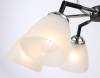 Подвесной светильник Ambrella light Traditional TR303294 фото 6