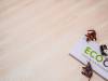 LVT Плитка Eco Click Wood 4.2/34 4V NOX-1602 Дуб Бриош 1212x185 фото 2