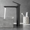 Смеситель для раковины Black&White UK8302B 8302BUK высокий, Matt Black фото 6
