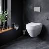 Унитаз подвесной AM.PM Spirit V2.0 C701700MWSC FlashClean с сиденьем микролифт, белый матовый фото 4