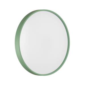 Светильник светодиодный потолочный Sonex Color 7743/ELN