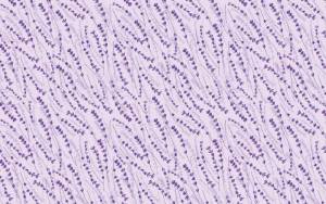 3D Фотообои Artegrafico «Лавандовый узор» PRV-008 акварель