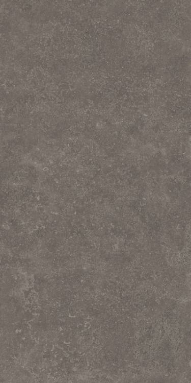 Керамогранит Kerama Marazzi Касабланка KM6012G0221R UP коричневый матовый обрезной 60x119.5