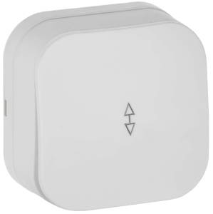 Выключатель 1-клавишный проходной IEK Glory EVH12-K01M-10 белый матовый