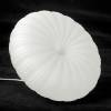 Подвесной светильник Lussole Claudia LSP-0922 фото 6