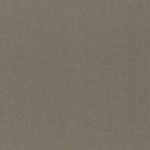 Обои виниловые Rasch Maximum XVI 960730