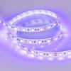 Светодиодная лента Arlight 14,4W/m 60LED/m 5060SMD ультрафиолет 5M 012815(2) фото 3