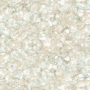 Обои бумажные Aura Texture Style TX34814