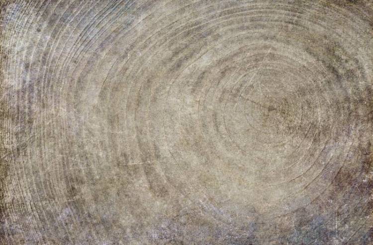 3D Фотообои Artegrafico «Винтажный спиль» MC-011 акварель