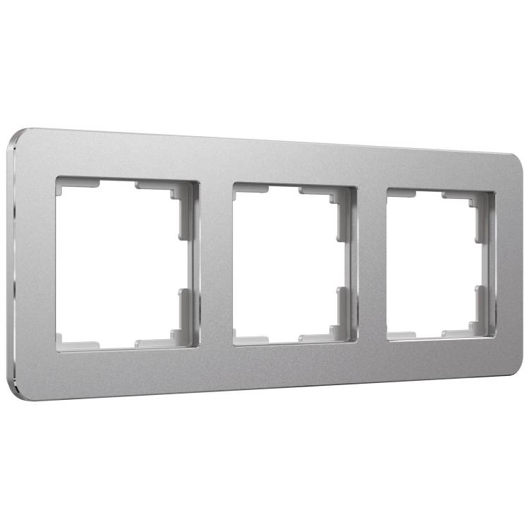 Рамка Werkel Platinum W0032606