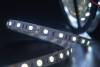 Светодиодная лента SWG 14,4W/m 60LED/m 5050SMD холодный белый 5M 001779 фото 6