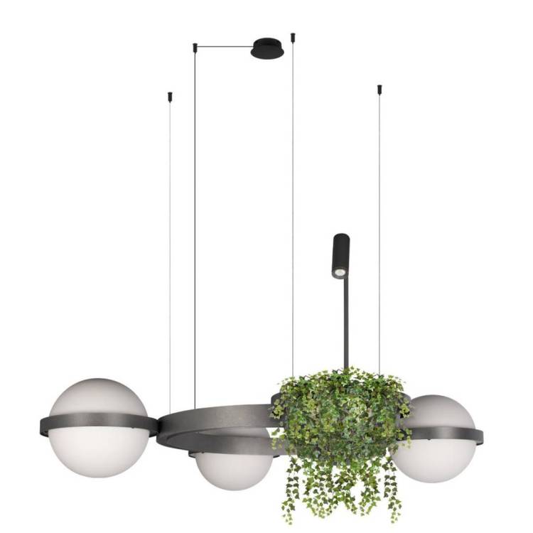Подвесной светильник Loft IT Jardin 10121/3 Dark grey