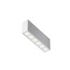Потолочный светильник Technical Ceiling C066CL-12W3-6K-W
