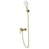 Смеситель для душа Wonzon & Woghand WW-AE3102-BG брашированное золото