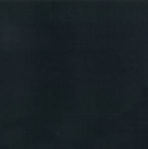 Линолеум Tarkett Omnisports Speed (Омниспортс Спид) Black (Черный) (рулон: 2x20.5=41 м2)