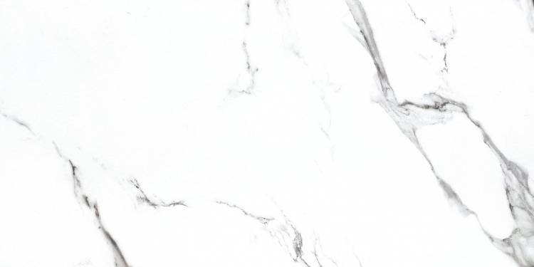Керамогранит NT Ceramic Bright and Shiny BB612NTT9100P 60x120