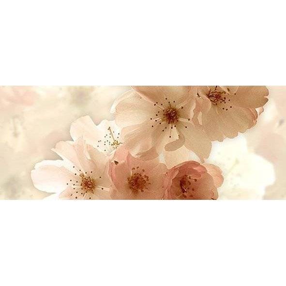 Панно Ceradim Manzano КПН17ManzanoB Dec Panno B 20x50